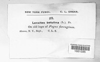 Image Associated With the Occurence
